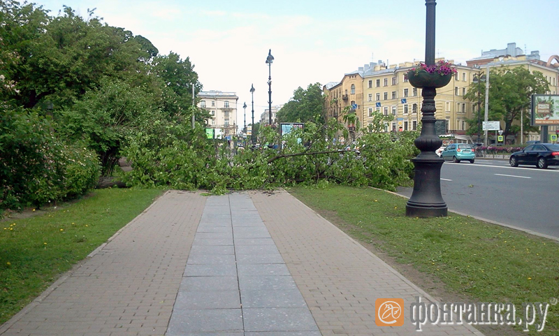 Каменноостровский проспект
